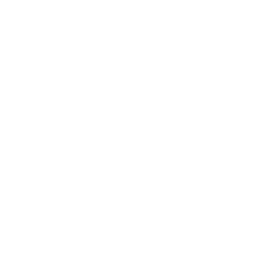 CMU icon